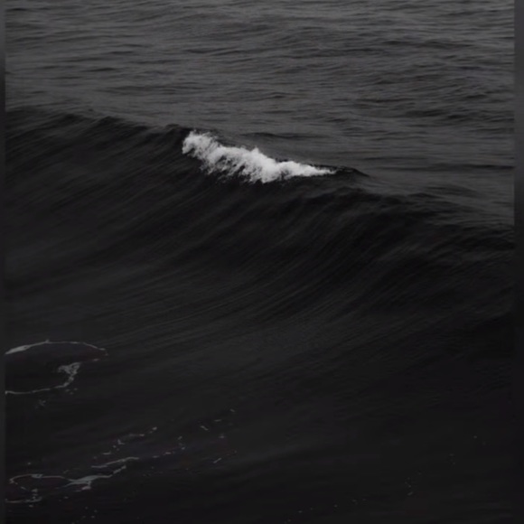 samvz774